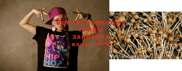 хмурый Алексеевка