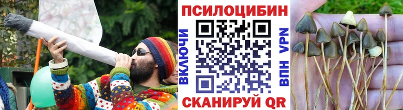Псилоцибиновые грибы MAGIC MUSHROOMS  что такое   Беслан 