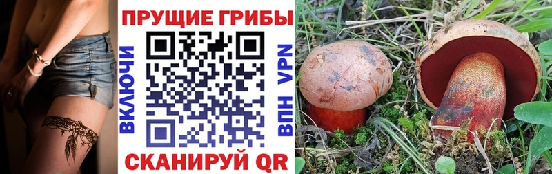 Галлюциногенные грибы Cubensis Беслан